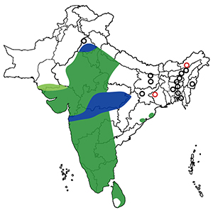 Distribution Map of Black Headed Ibis